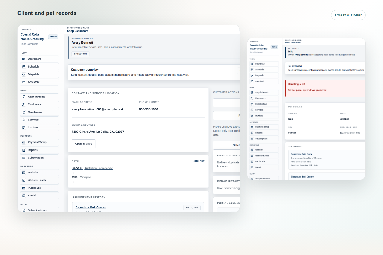 Coast & Collar OpenDog customer and pet records showing organized business data context.